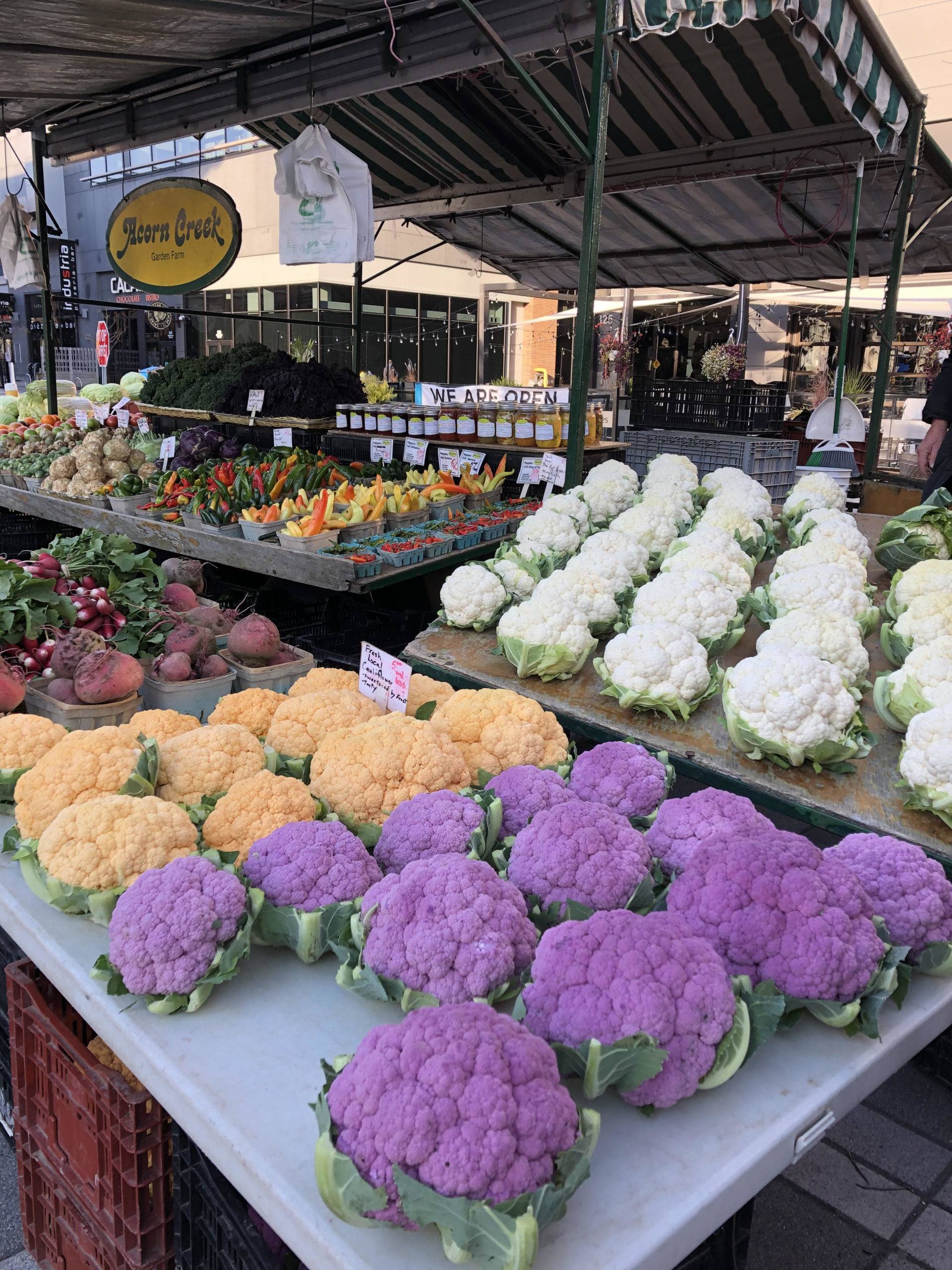 Lansdowne Market - Ottawa Farmers' Market