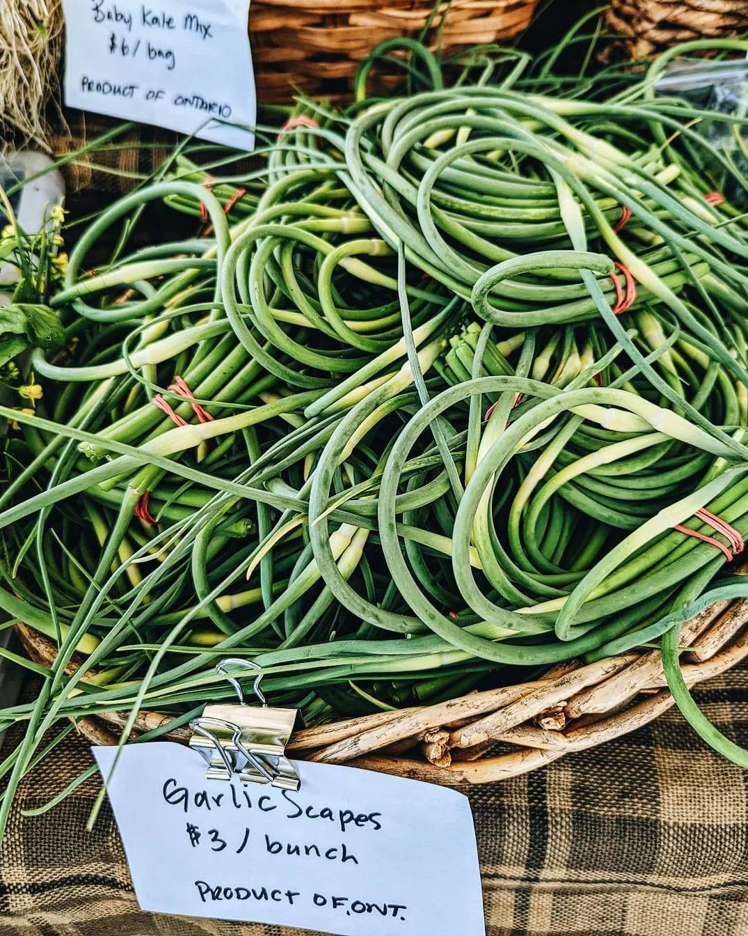 Westboro Market - Ottawa Farmers' Market